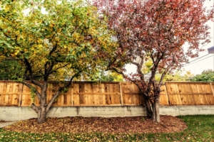 How long does it take to build a fence?