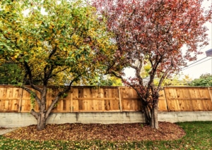 Fence Care & Maintenance Guide for Wood and Vinyl