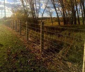 Farm fence for horses