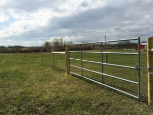 High Tensile Fence for Horses
