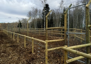 Wire Mesh Fence to Keep Out Deer