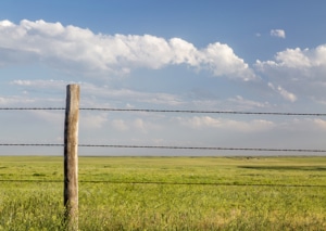 Barbed Wire Fence