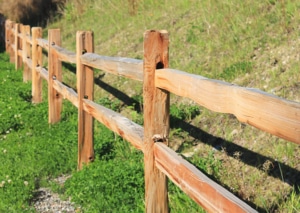Split Cedar Fence