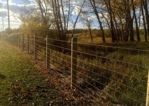 Dog fence in Calgary