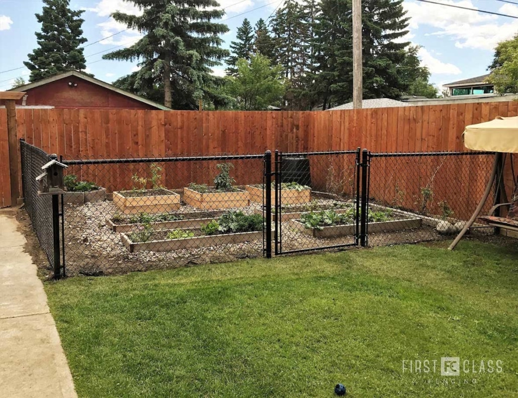 Chain Link Garden Fence Calgary