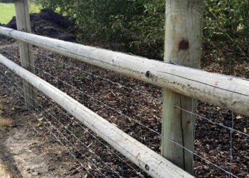 Dave-Simmons---Neighbour-Fence