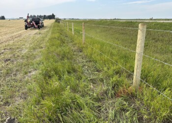 Acreage, Farm and Ranch Fences
