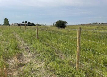 Acreage, Farm and Ranch Fences