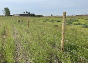 Acreage, Farm and Ranch Fences