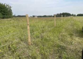 Acreage, Farm and Ranch Fences