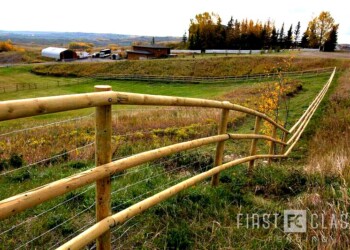 Yamnuska-10ft-game-fence