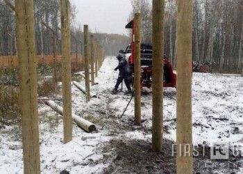 Yamnuska-10ft-game-fence