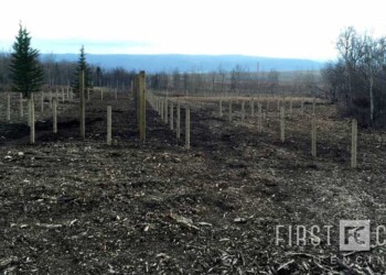 Yamnuska-10ft-game-fence