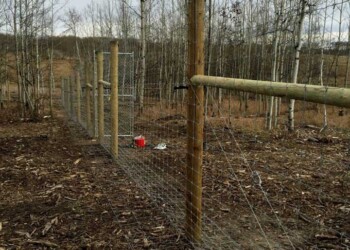 Yamnuska-10ft-game-fence