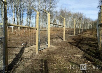 Yamnuska-10ft-game-fence