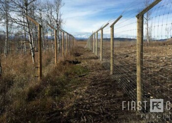 Yamnuska-10ft-game-fence