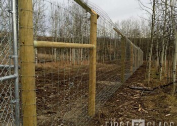 Yamnuska-10ft-game-fence