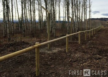 Yamnuska-10ft-game-fence