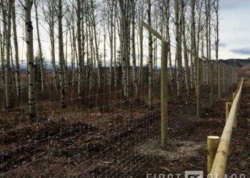 Yamnuska-10ft-game-fence