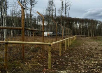 Yamnuska-10ft-game-fence