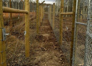 Yamnuska-10ft-game-fence