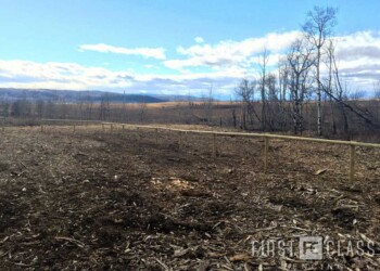 Yamnuska-10ft-game-fence