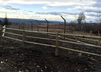Acreage, Farm and Ranch Fences