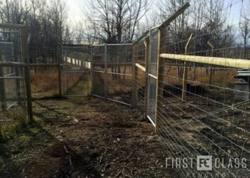 Yamnuska-10ft-game-fence
