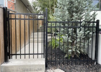 Ornamental Fence with gate