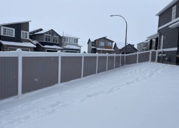 Vinyl Fence