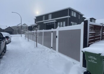 Vinyl Fence