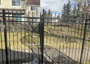 Ornamental Fence
