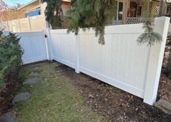 Vinyl Fence