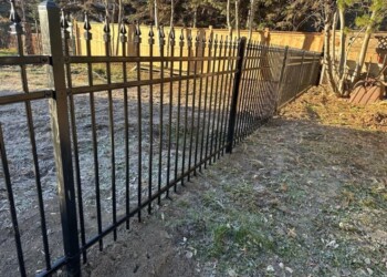 Ornamental Fence