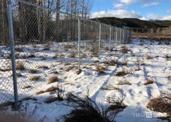 First class Fencing