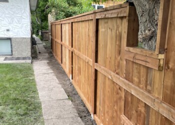 Wood fence around a tree