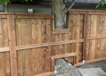 Wood fence around a tree