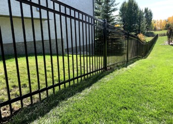 Ornamental Fence