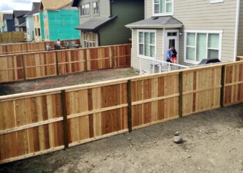 Cedar Fence